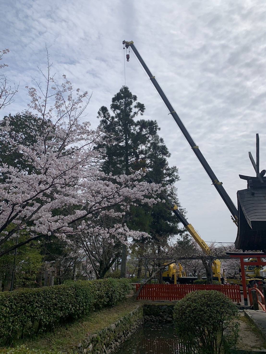 本日神社での吊り切り - 株式会社欅谷木材